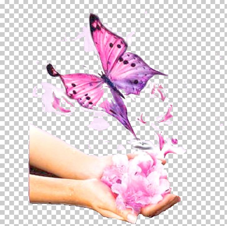Banaswadi Srishti School Of Art Design And Technology Coventry Nail Monarch Butterfly PNG, Clipart, Banaswadi, Beautician, Brush Footed Butterfly, Butterfly, Clinic Free PNG Download