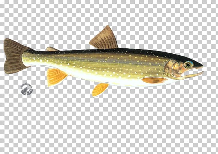 Salmon Trout Sardine Desktop Fish PNG, Clipart, Animals, Bony Fish, Brown Trout, Common Rudd, Computer Free PNG Download
