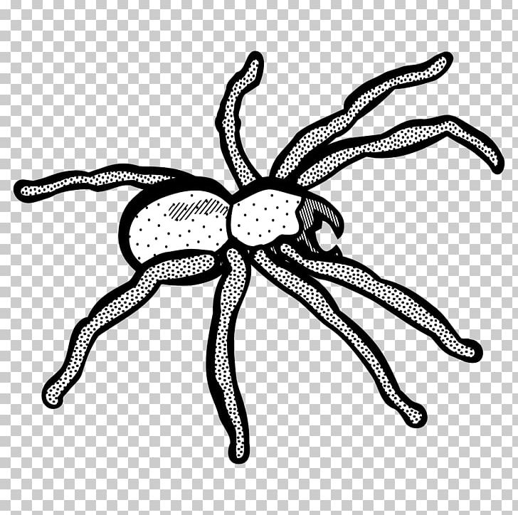 Spider Line Art Drawing PNG, Clipart, Art, Artwork, Black And White, Coloring Book, Computer Icons Free PNG Download