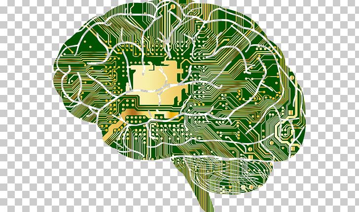 Brain Computer Science Computer Simulation PNG, Clipart,  Free PNG Download