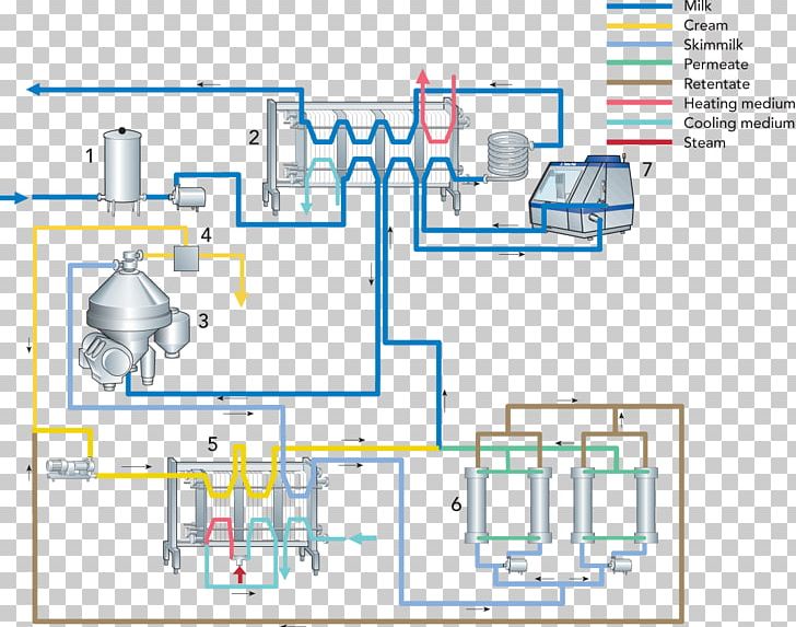 ESL Milk Cream Pasteurisation Shelf Life PNG, Clipart, Angle ...