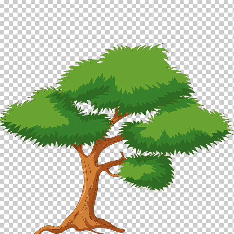 Arbor Day PNG, Clipart, American Larch, Arbor Day, Bonsai, Branch, Grass Free PNG Download