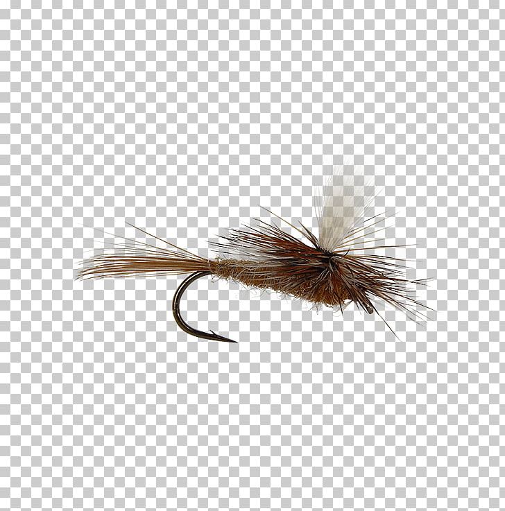 Artificial Fly Hare's Ear Fly Fishing Insect PNG, Clipart,  Free PNG Download