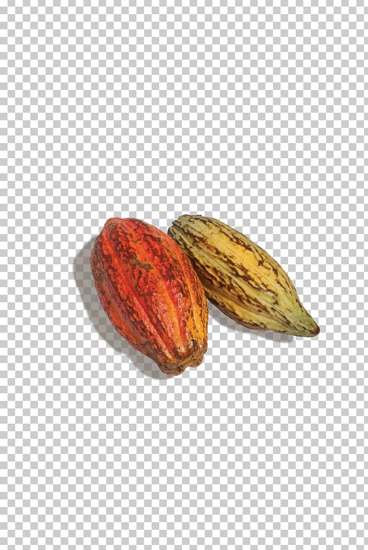 Cocoa Bean Food Nut Flavan-3-ol CocoaVia PNG, Clipart, Chocolate, Cocoa, Cocoa Bean, Cocoavia, Commodity Free PNG Download