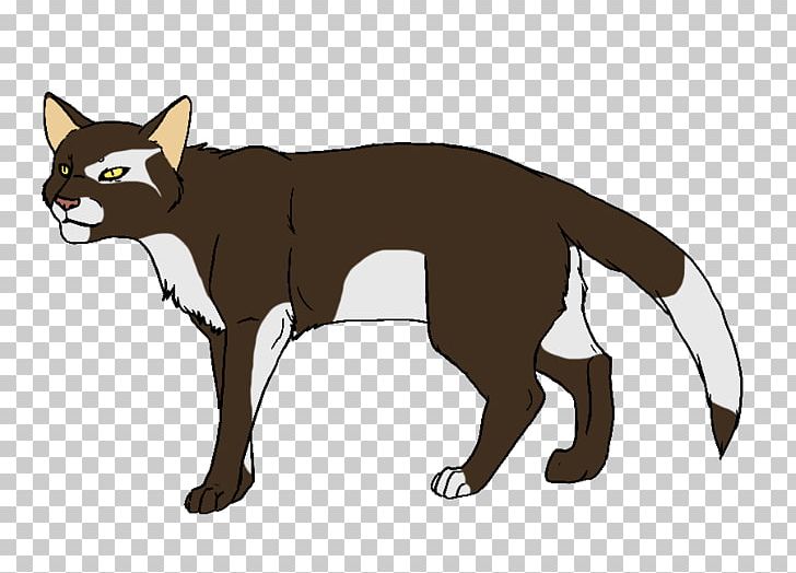 Whiskers Havana Brown Bombay Cat Burmese Cat Tonkinese Cat PNG, Clipart, Carnivoran, Cat Like Mammal, Dog Like Mammal, Fauna, Fictional Character Free PNG Download