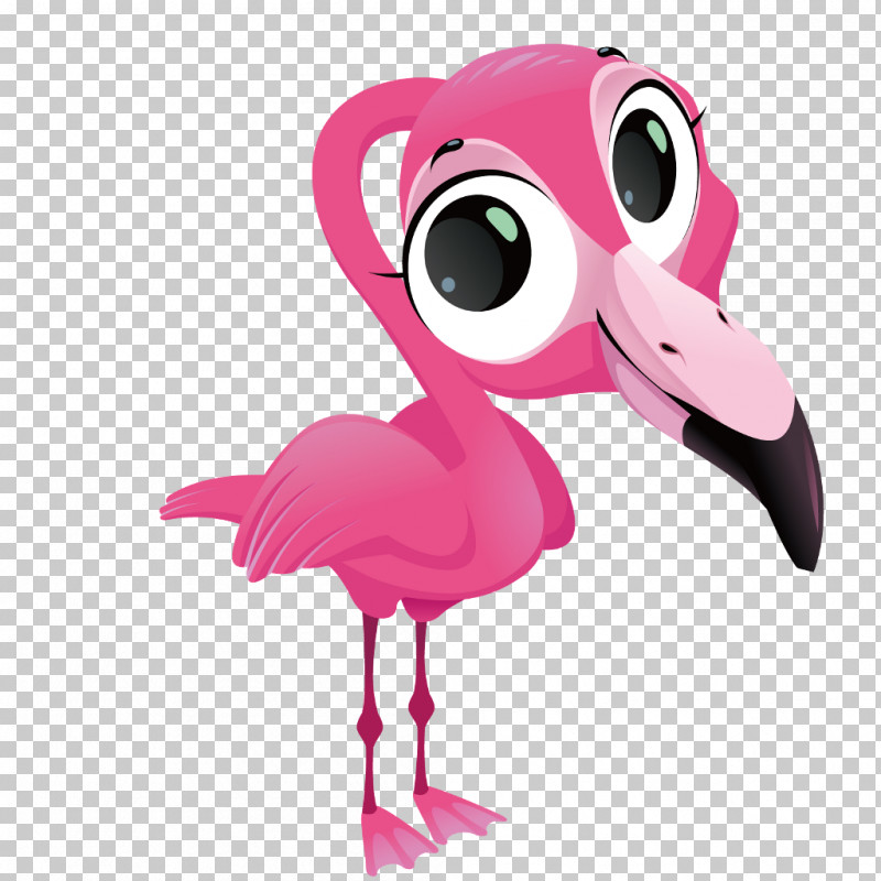 Flamingo PNG, Clipart, Animation, Beak, Bird, Cartoon, Flamingo Free PNG Download