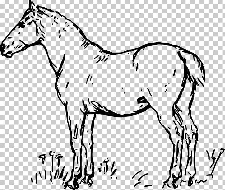 Horse Drawing Watercolor Painting PNG, Clipart, Animal Figure, Animals, Art, Black And White, Brid Free PNG Download