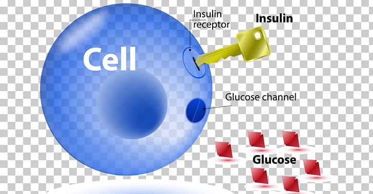 Insulin Resistance Diabetes Mellitus Type 2 Type 1 Diabetes PNG, Clipart, Beta Cell, Blood Sugar, Blue, Brand, Communication Free PNG Download