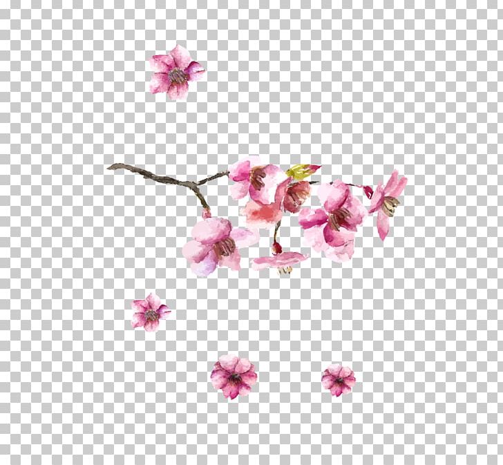 Japanese Art Cherry Blossom Drawing PNG, Clipart, Branch, Cherry, Cherry Blossoms, Cherry Vector, Drawing Free PNG Download