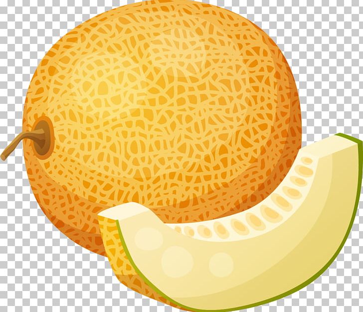 Juice Melon Cantaloupe Honeydew PNG, Clipart, Cartoon, Cucumber Gourd And Melon Family, Drink, Food, Fruit Free PNG Download
