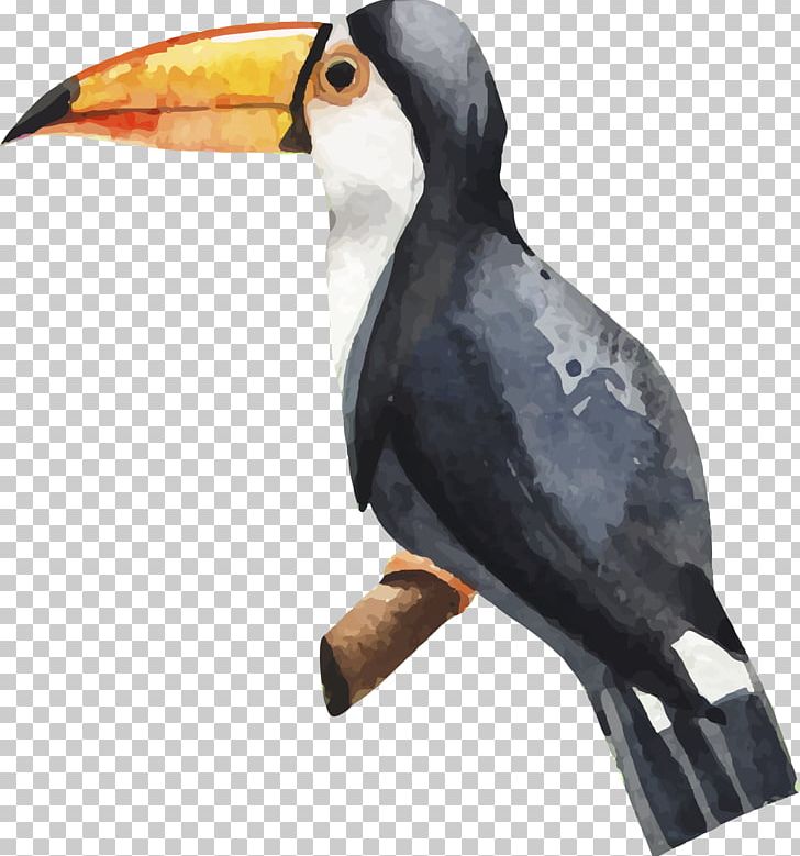 Bird Watercolor Painting Illustration PNG, Clipart, Animal, Animals, Art, Beak, Black Free PNG Download