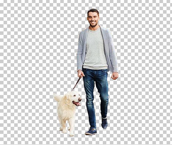 Dogo Argentino Architectural Rendering PNG, Clipart, Architectural Rendering, Architecture, Cat People And Dog People, Clipping Path, Dog Free PNG Download