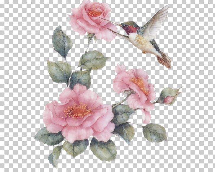 Ruby-throated Hummingbird Art Painting PNG, Clipart,  Free PNG Download