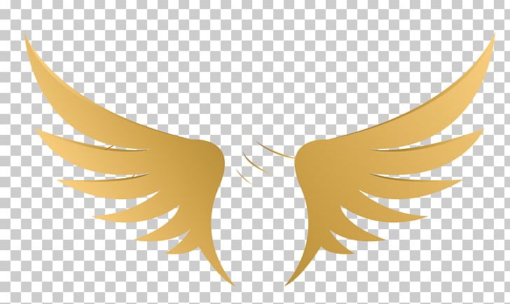 Yellow Illustration PNG, Clipart, Angels Wings, Angel Wing, Angel Wings, Beak, Chicken Wings Free PNG Download