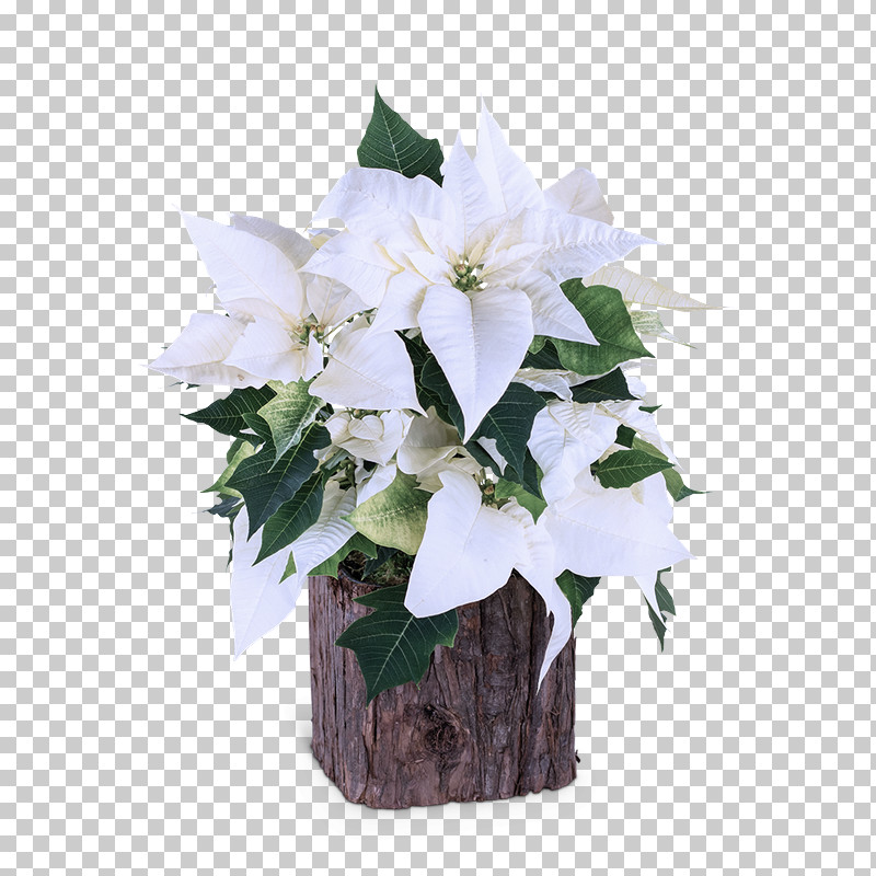 Floral Design PNG, Clipart, Artificial Flower, Biology, Cut Flowers, Floral Design, Flower Free PNG Download