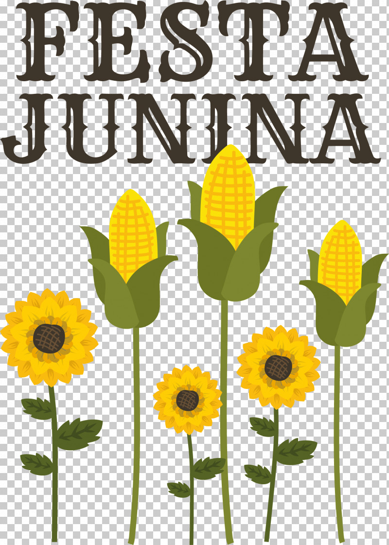 Flower Daisy Family Plant Stem Sunflower Seed Sunflowers PNG, Clipart, Biology, Commodity, Common Daisy, Daisy Family, Flower Free PNG Download