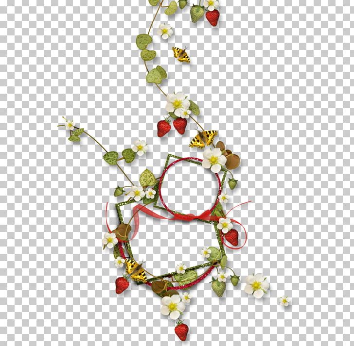 Fruit PNG, Clipart, Alena, Flower, Fruit, Miscellaneous, Others Free PNG Download
