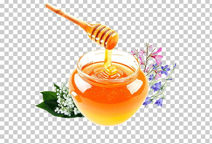 Honey Sweet Clovers Disease Bee Health PNG, Clipart, Apiary, Bed Bug Bite, Bee, Beekeeping, Buckwheat Free PNG Download