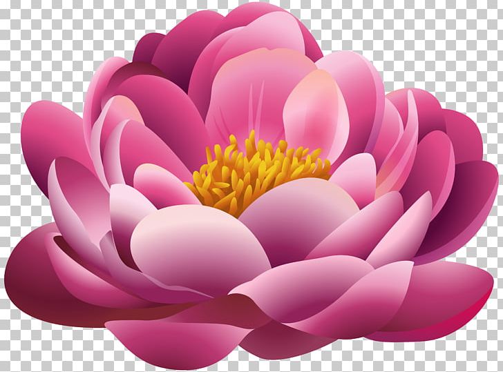 Pink Flowers PNG, Clipart, Beautiful, Blog, Clipart, Clip Art, Computer Wallpaper Free PNG Download