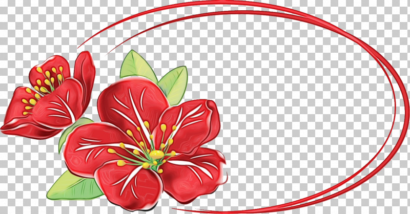 Red Flower Plant Anthurium Petal PNG, Clipart, Anthurium, Floral Oval Frame, Flower, Flower Oval Frame, Paint Free PNG Download