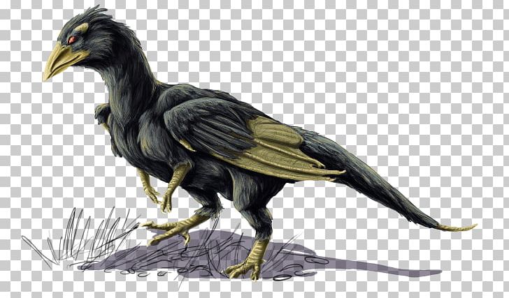 Bird Common Raven Beak Feather Vulture PNG, Clipart, Art, Beak, Bird, Bird Of Prey, Color Free PNG Download