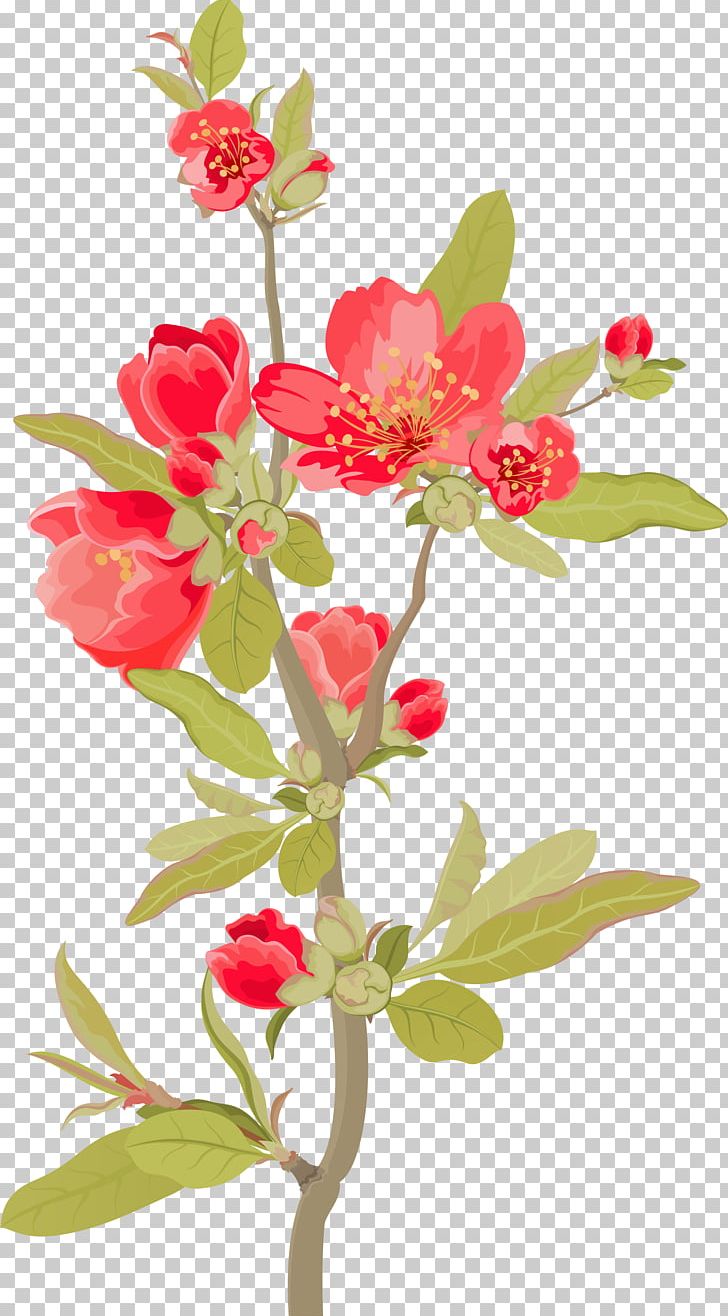 Floral Design Film Poster PNG, Clipart, Art, Blossom, Branch, Cut Flowers, Diary Free PNG Download