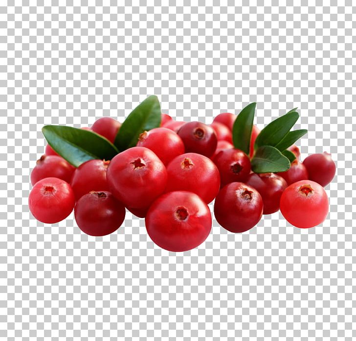 Lingonberry Cranberry Bilberry Rijk Zwaan Barbados Cherry PNG, Clipart, Acerola Family, Bar, Bell Pepper, Bilberry, Blueberry Free PNG Download