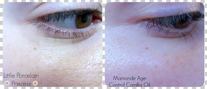 Cosmetics Eye Shadow Eye Liner Eyelash PNG, Clipart, Closeup, Cosmetics, Exfoliation, Eye, Eyebrow Free PNG Download