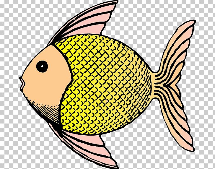 Goldfish PNG, Clipart, Artwork, Beak, Cartoon, Clip Art, Clipart Free PNG Download