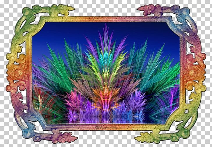 Frames Feather PNG, Clipart, Animals, Aquarium Decor, Burnaby Lake Summer Program, Feather, Picture Frame Free PNG Download