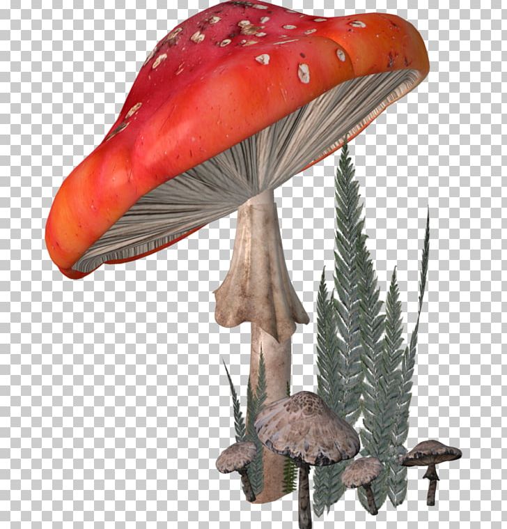 Fungus Agaricaceae Amanita PNG, Clipart, Agaricaceae, Amanita, Computer Animation, Edible Mushroom, Fungus Free PNG Download