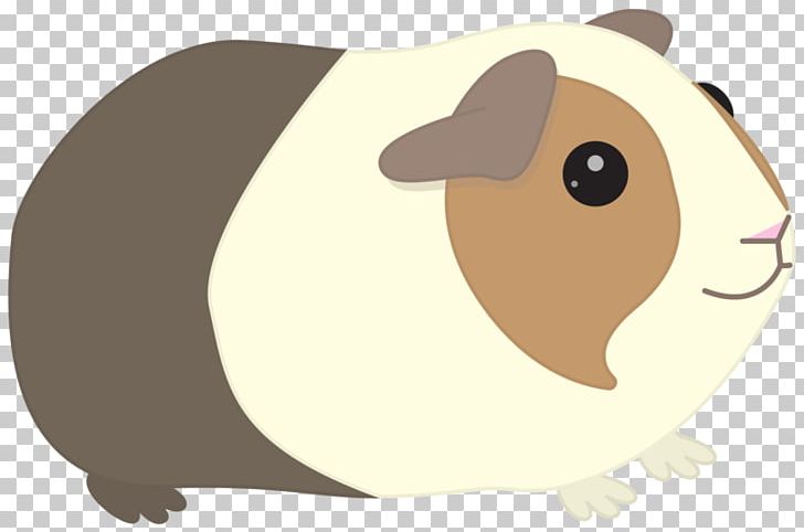Guinea Pig Whiskers PNG, Clipart, Animals, Blog, Carnivoran, Cartoon, Clip Art Free PNG Download