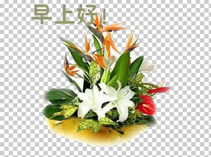 Morning Greeting Tencent QQ Night WeChat PNG, Clipart, Anger, Artificial Flower, Bloom, Cut Flowers, Facial Expression Free PNG Download