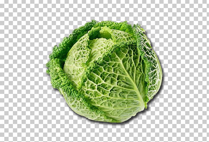Savoy Cabbage Vegetable Variety Salad Cauliflower PNG, Clipart, Broccoli, Cabbage, Cauliflower, Coleslaw, Food Free PNG Download
