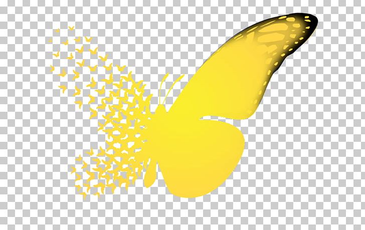 Butterfly Effect A Sound Of Thunder Chaos Theory Causality PNG, Clipart, Brush Footed Butterfly, Butterfly Effect 3 Revelations, Causality, Chaos Theory, Dasavathaaram Free PNG Download
