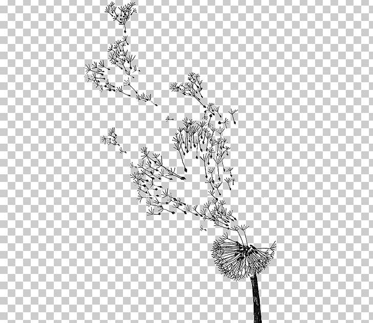 Common Dandelion Drawing Fashion Illustration Watercolor Painting Sketch PNG, Clipart, Art, Black And White, Body Jewelry, Cartoon, Cartoon Dandelion Free PNG Download
