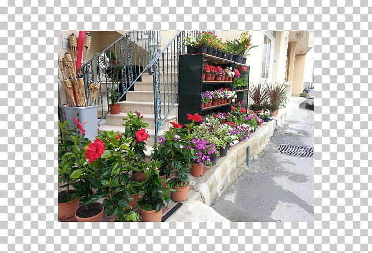 Floral Design Meter Houseplant Yard PNG, Clipart, Almoccedilo, Art, Flora, Floral Design, Floristry Free PNG Download