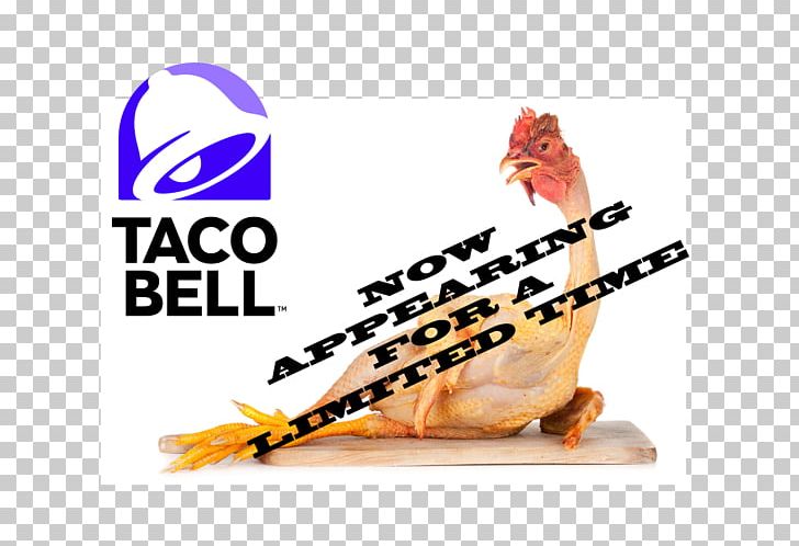 Taco Bell Mexican Cuisine KFC Burrito PNG, Clipart, Beak, Brand, Burrito, Dinner, Fast Food Free PNG Download