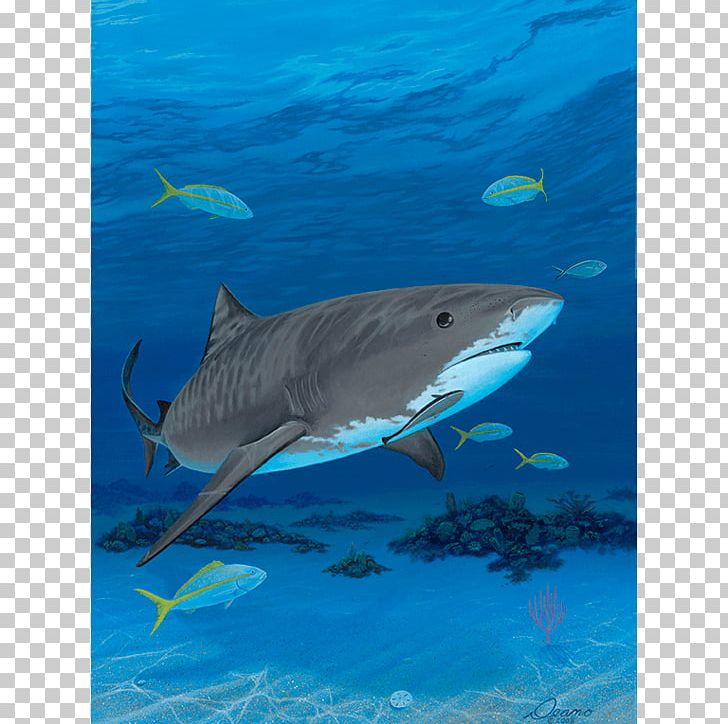 Tiger Shark Great White Shark Canvas Print Turtle PNG, Clipart, Animals, Aqua, Canvas, Canvas Print, Carcharhiniformes Free PNG Download