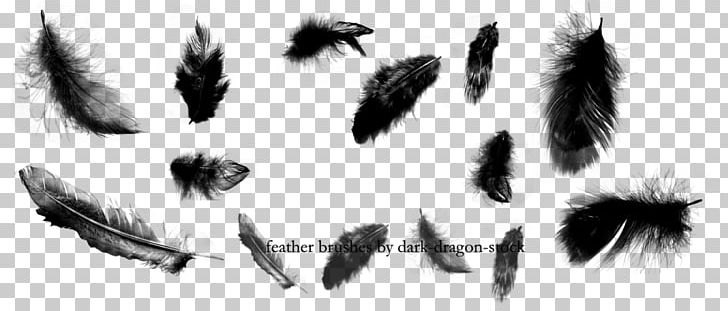 Brush Feather Illustrator PNG, Clipart, Angle, Animals, Art, Artwork, Black Free PNG Download