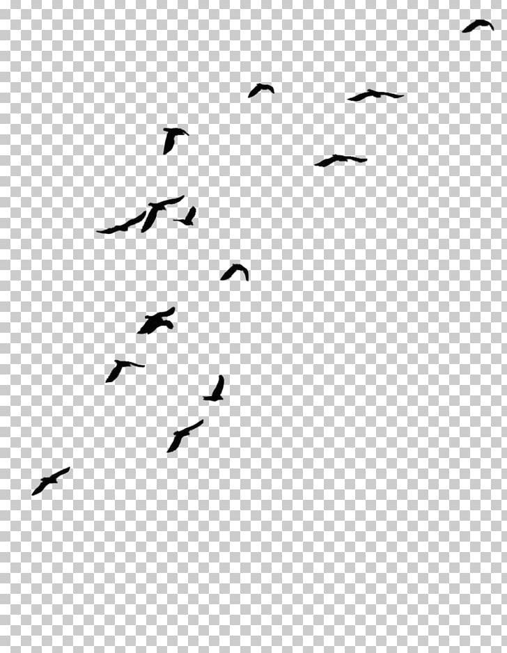 Drawing PNG, Clipart, Angle, Animal Migration, Architecture, Area, Avatan Free PNG Download
