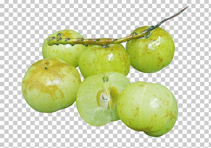 Food Greengage Enzyme Farm Alcoholic Drink PNG, Clipart, Agriculture, Alcoholic Drink, Beer Brewing Grains Malts, Drinking, Enzyme Free PNG Download