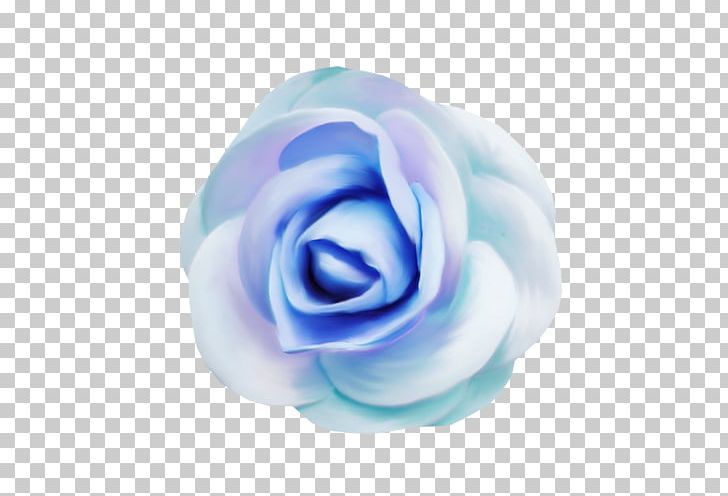 Garden Roses Cabbage Rose Blue Rose Cut Flowers Petal PNG, Clipart, Aqua, Blue, Blue Rose, Body Jewellery, Body Jewelry Free PNG Download