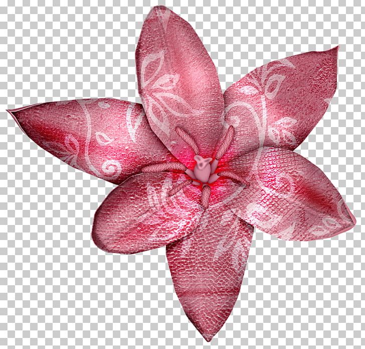 Petal Cut Flowers PNG, Clipart, Blogger, Cut Flowers, Flower, Magenta, Nature Free PNG Download