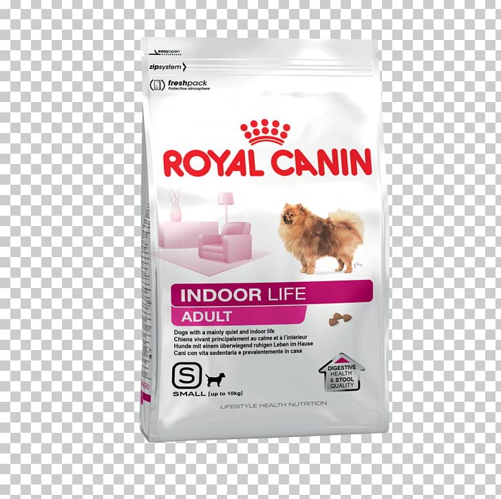 Puppy Royal Canin Chihuahua Dog Food Horse PNG, Clipart, Animals, Breed, Chihuahua, Dog, Dog Food Free PNG Download