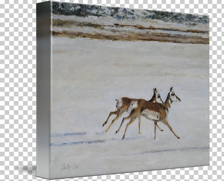 Reindeer Impala Springbok Gazelle Antler PNG, Clipart, Antelope, Antler, Cartoon, Chevrolet Impala, Deer Free PNG Download