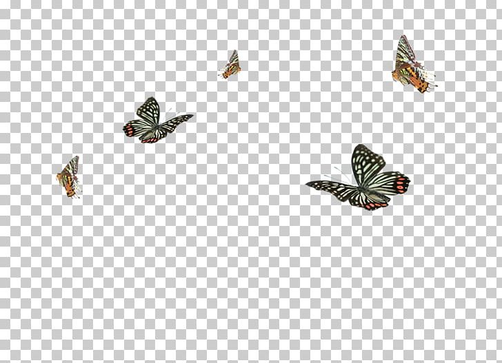 Butterfly PNG, Clipart, Blue Butterfly, Butter, Butterflies, Butterfly Group, Butterfly Wings Free PNG Download