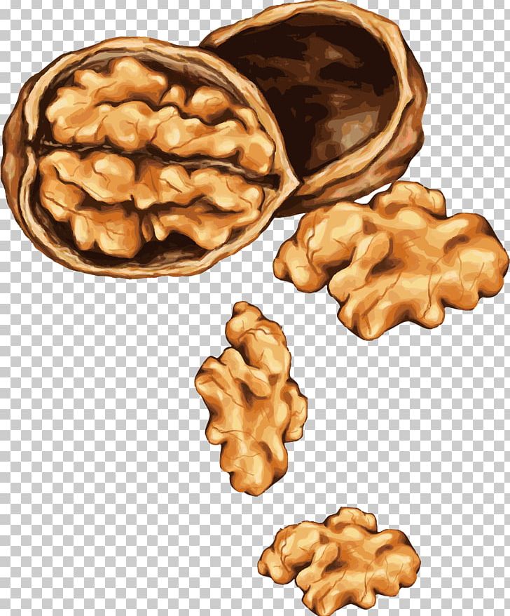Tree Nut Allergy Drawing Almond PNG, Clipart, Corn Nut, Food, Fruit Nut, Hand Painted, Handpainted Flowers Free PNG Download