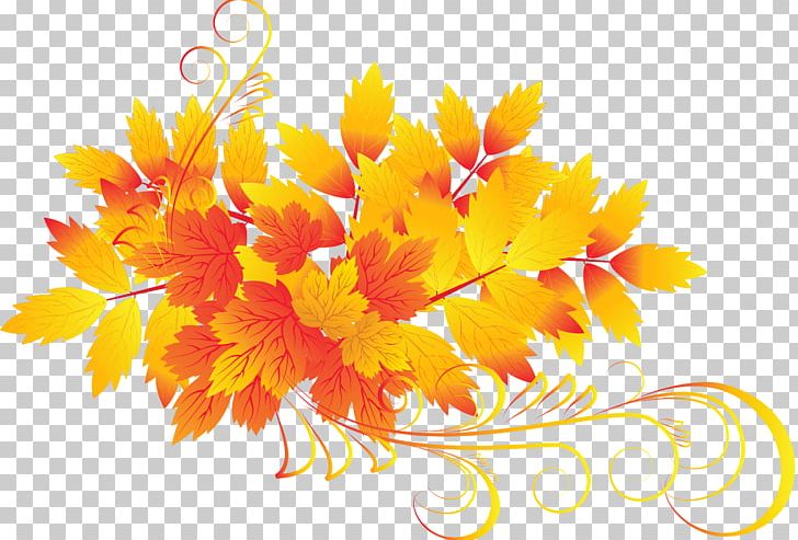 Autumn Leaf Color PNG, Clipart, Autumn, Autumn Leaf Color, Calendula, Chrysanths, Computer Wallpaper Free PNG Download