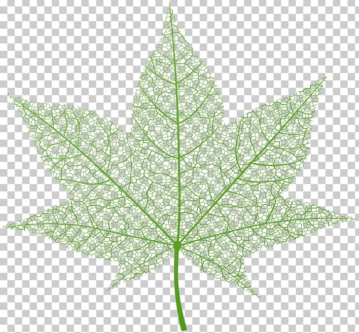 Leaf Maple PNG, Clipart, Autumn, Autumn Leaf, Clipart, Clip Art, Data Compression Free PNG Download